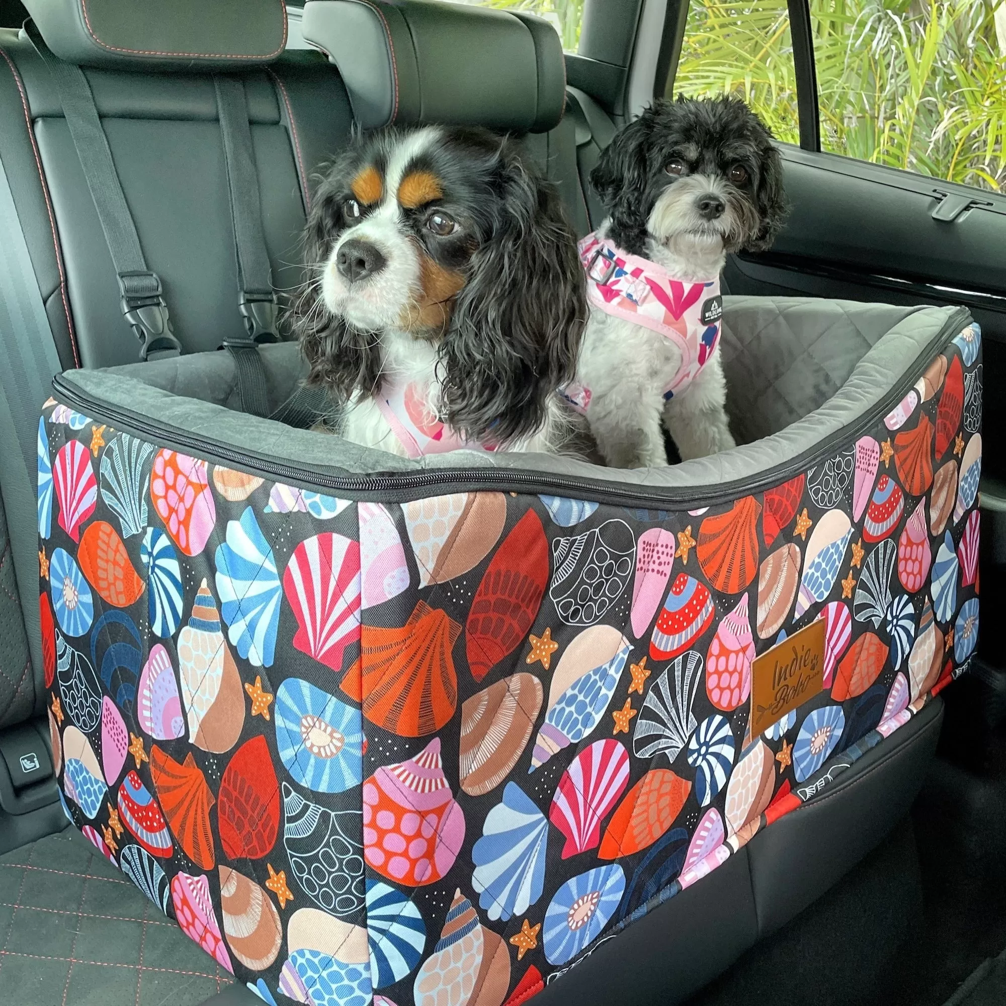 Car Pet Booster Seats DOUBLE Size - Daydream Shells