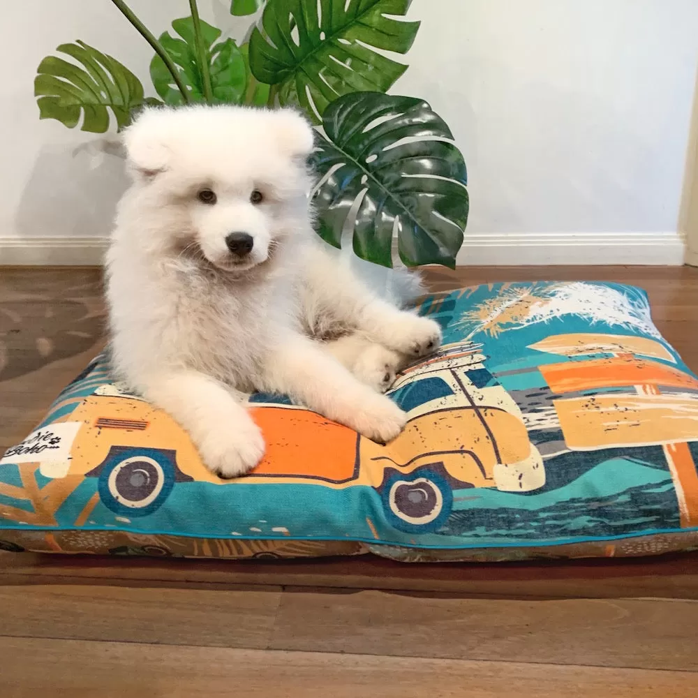 Indie ECO Pet Bed - Byron Surf