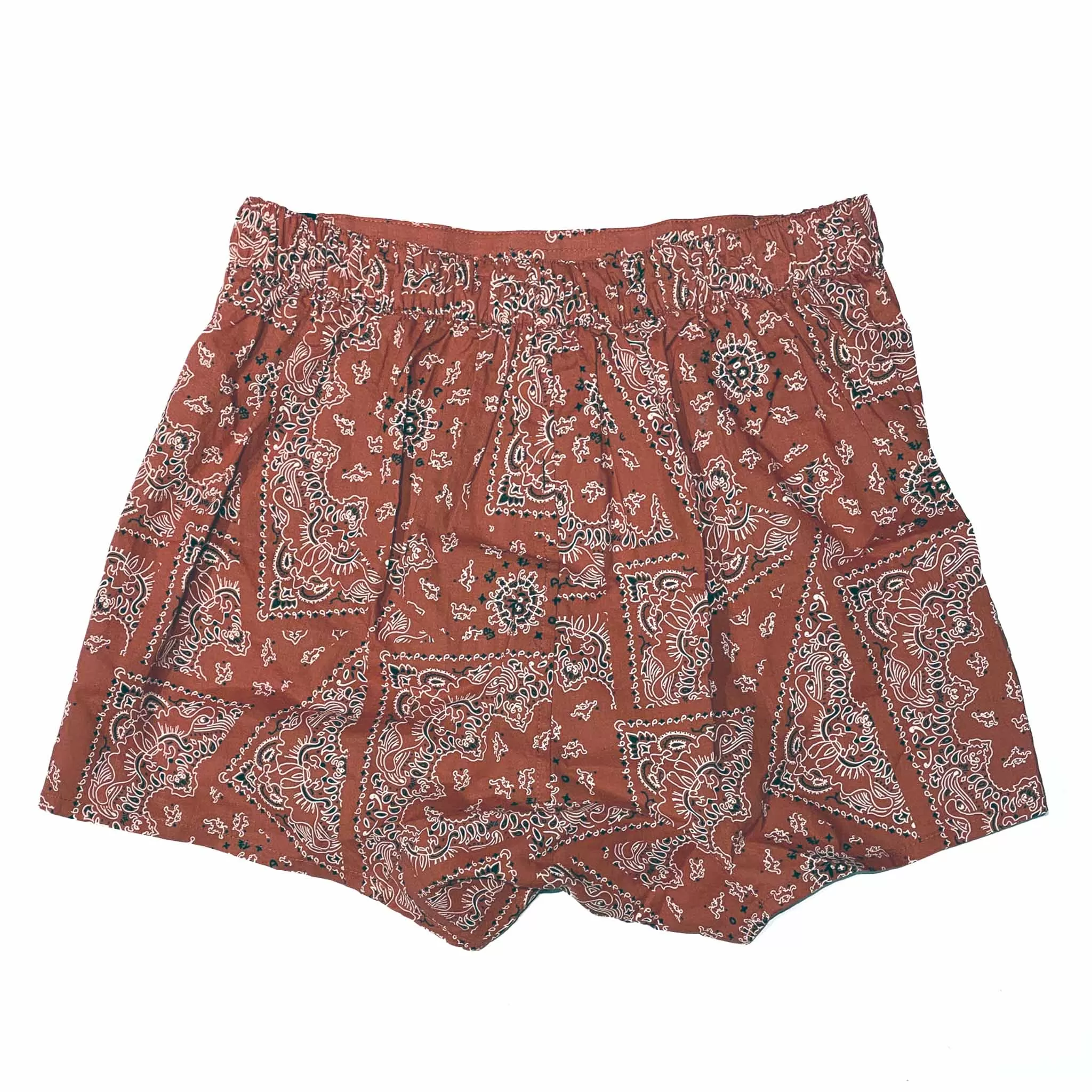 'Paisley Bandana' Men's Boxer Shorts