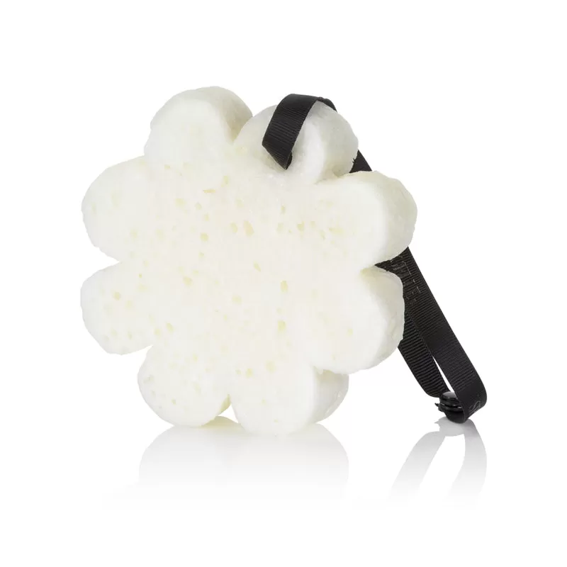 SPONGELLE | Naked Lady Belladonna Boxed Flower Sponge